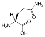 L-glutamine dans le régime Keto